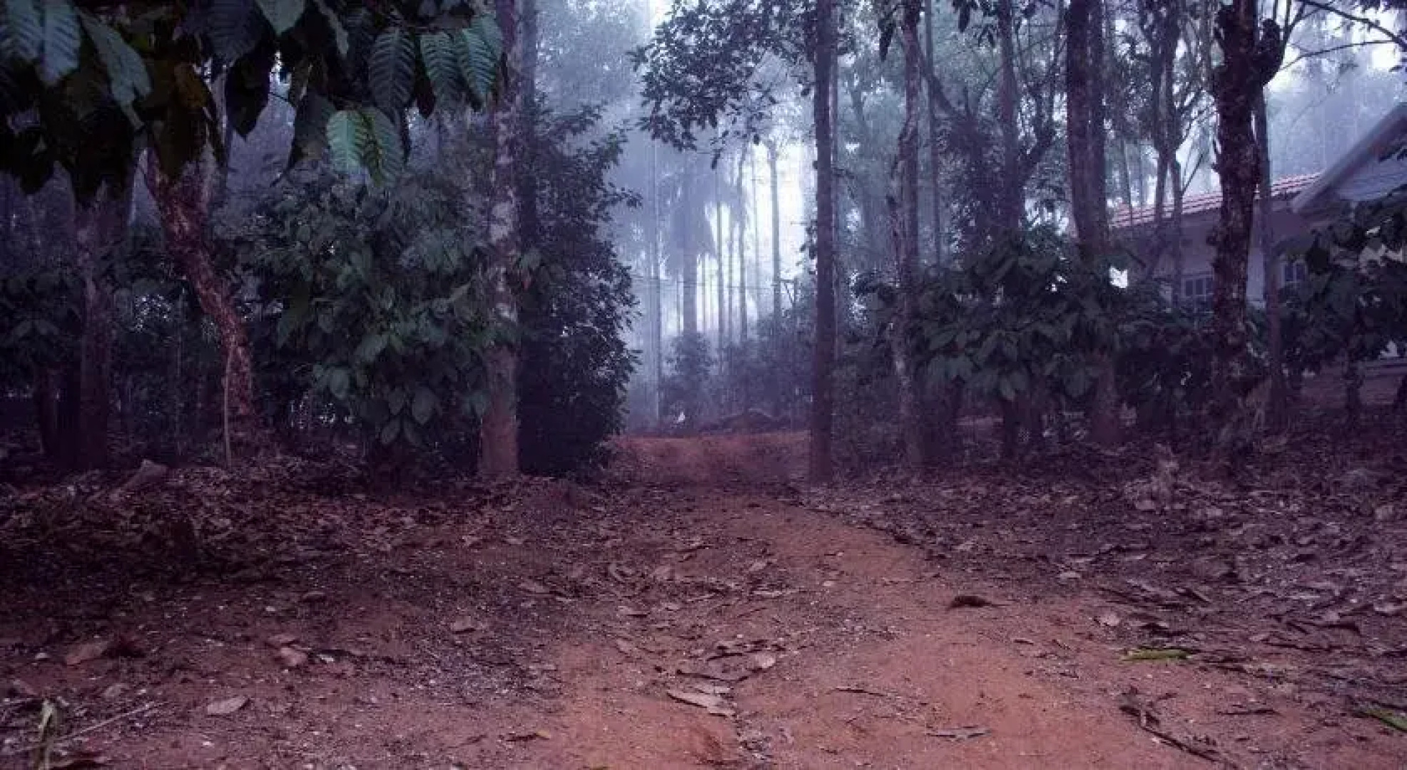 Wayanad Coffee Mist Resort