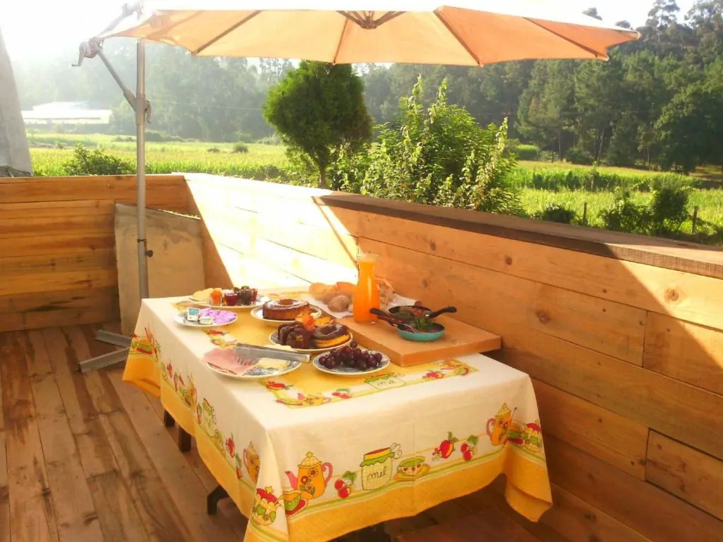 Casa d'Alvite - Arouca