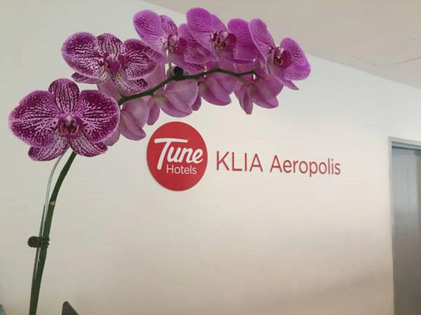 Tune Hotel KLIA Aeropolis
