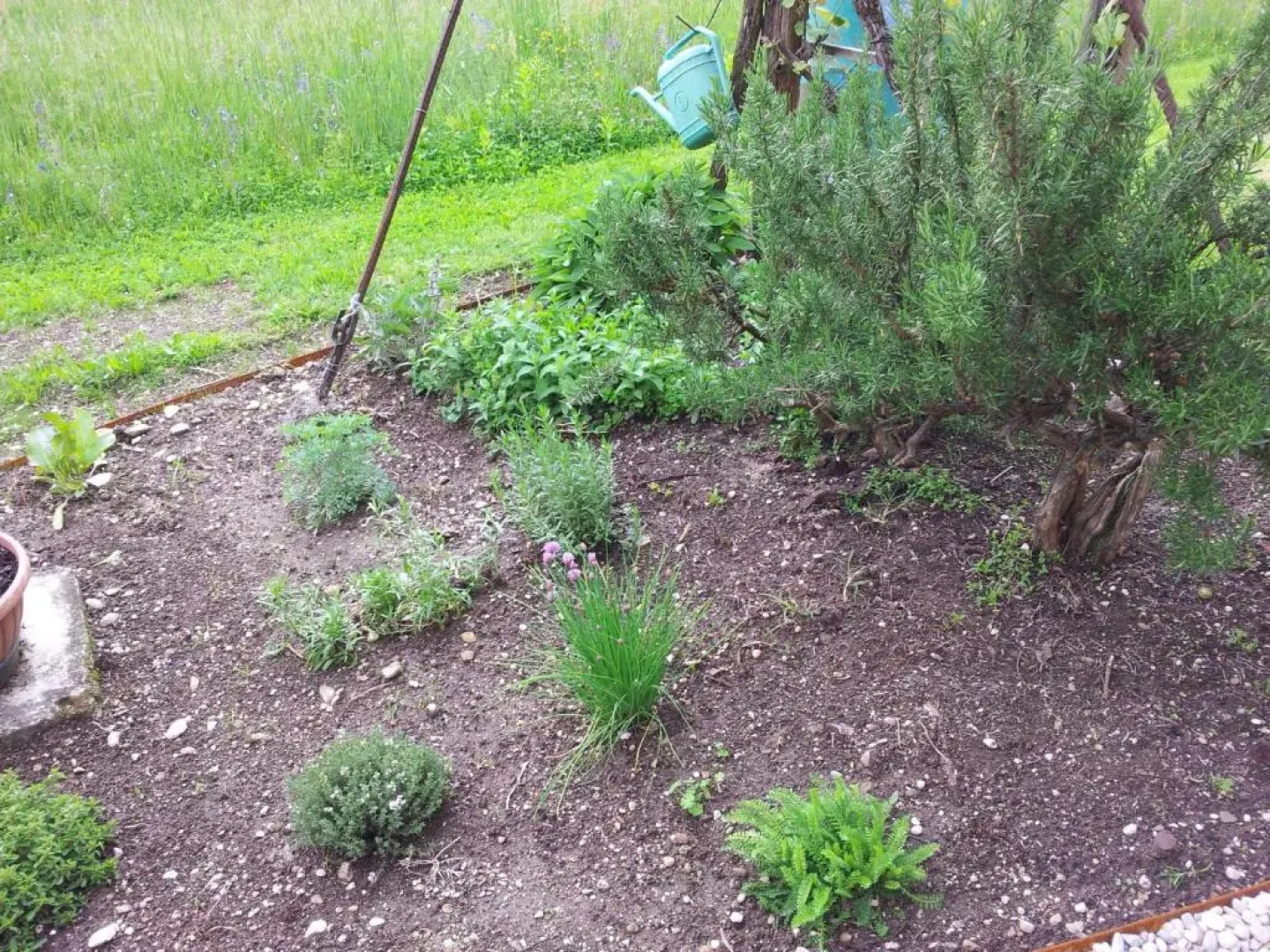 A casa di Albino e Giovannina