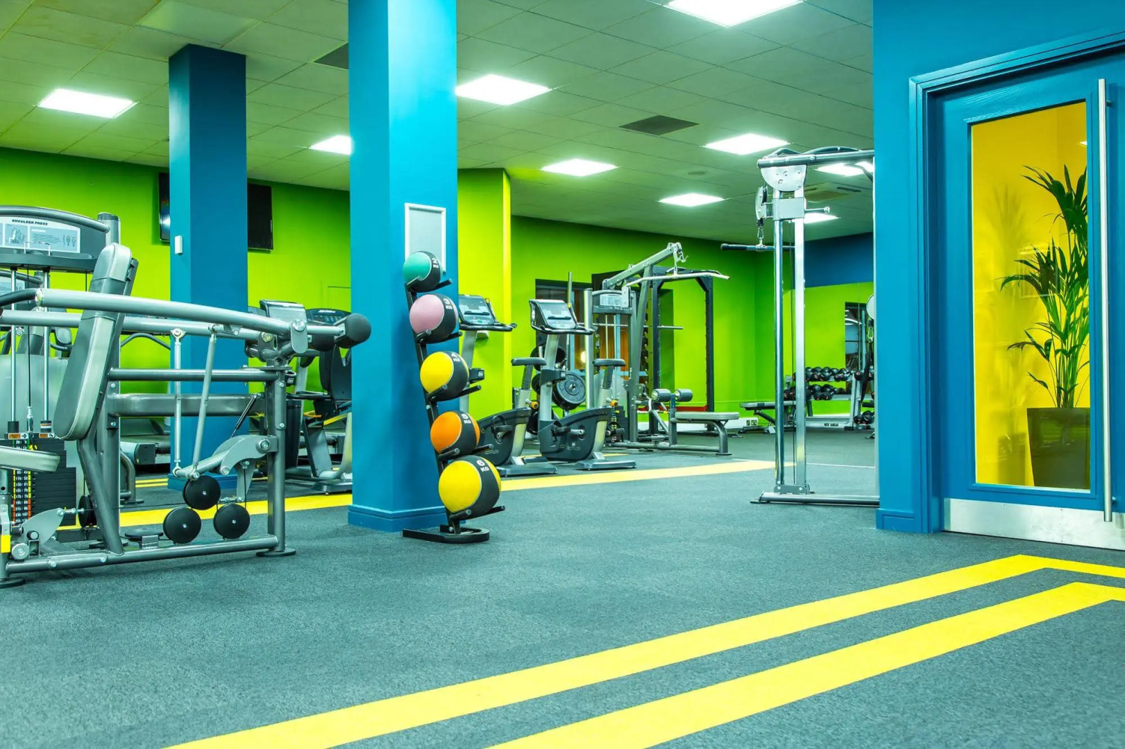 City Suite Apartments