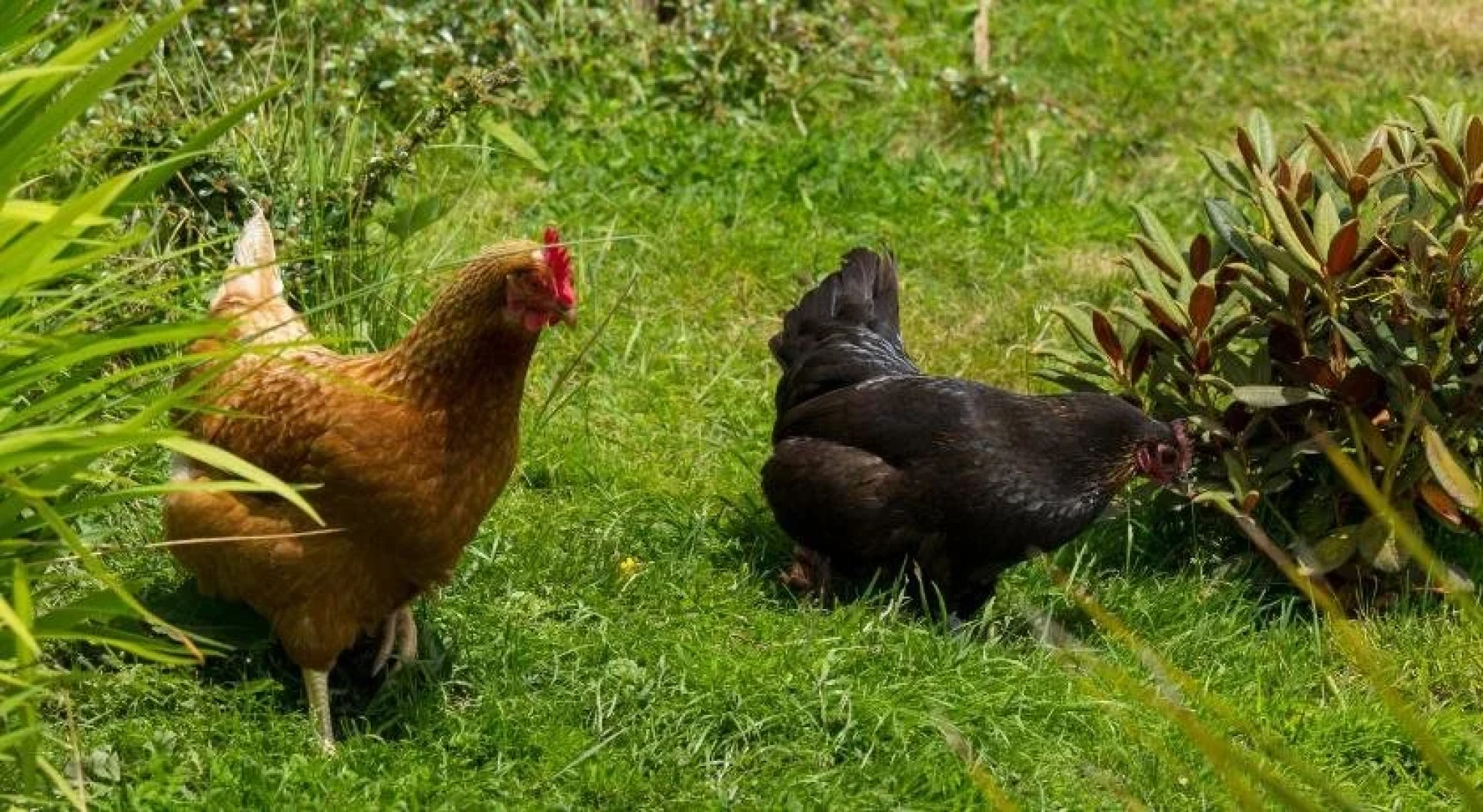 Cairnryan Bed and Breakfast