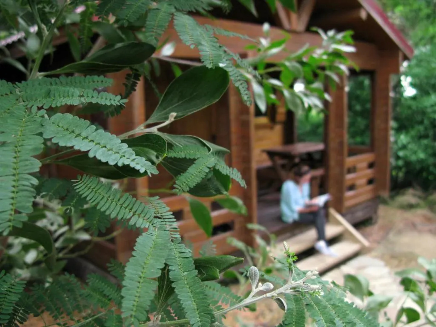 Complejo Rural Huerta Grande