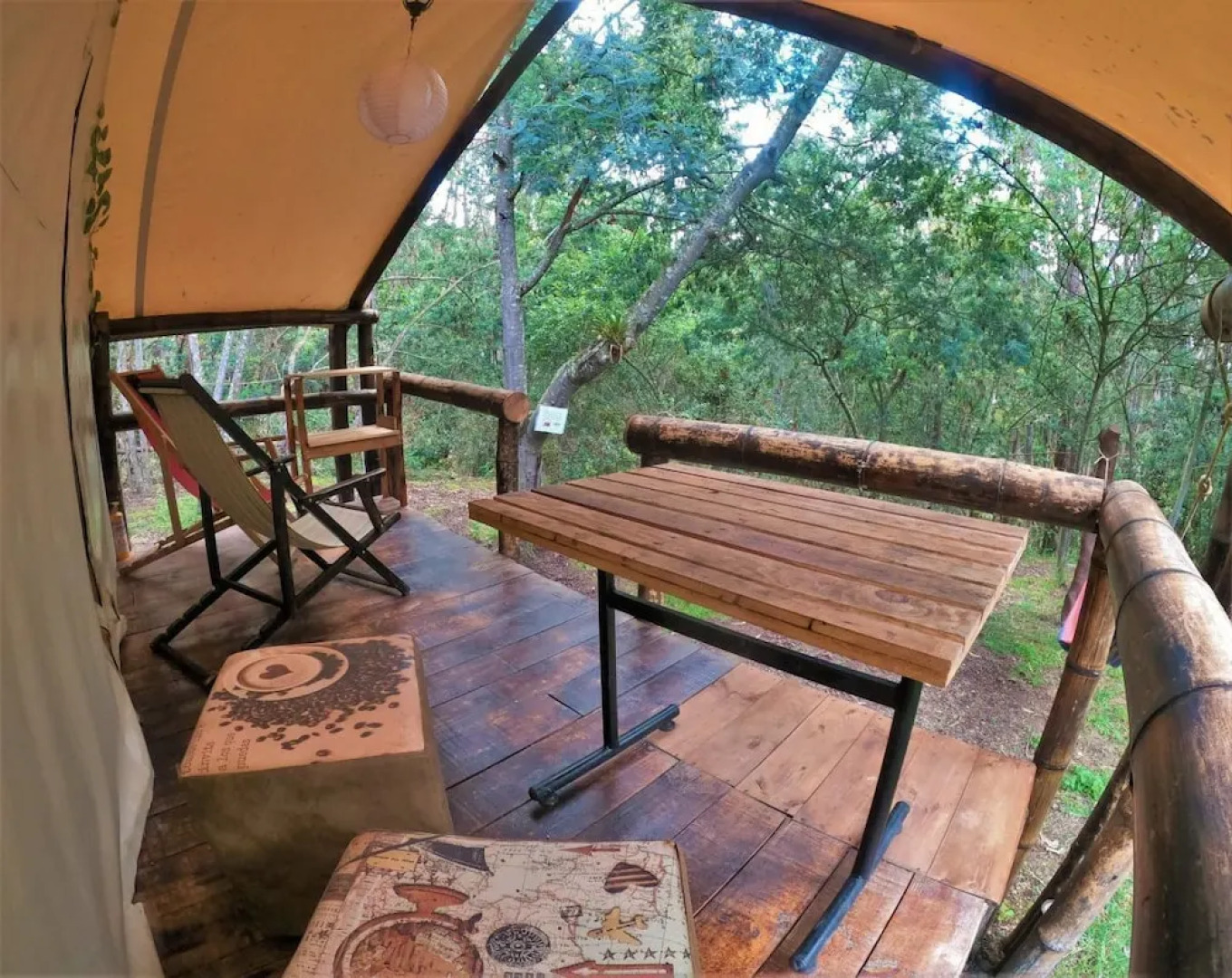 Glamping tipo safari