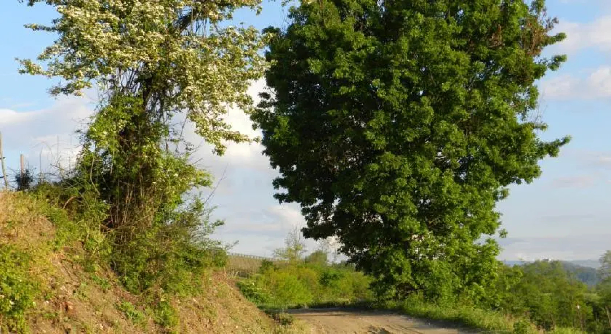Casa del Bosco in Collina