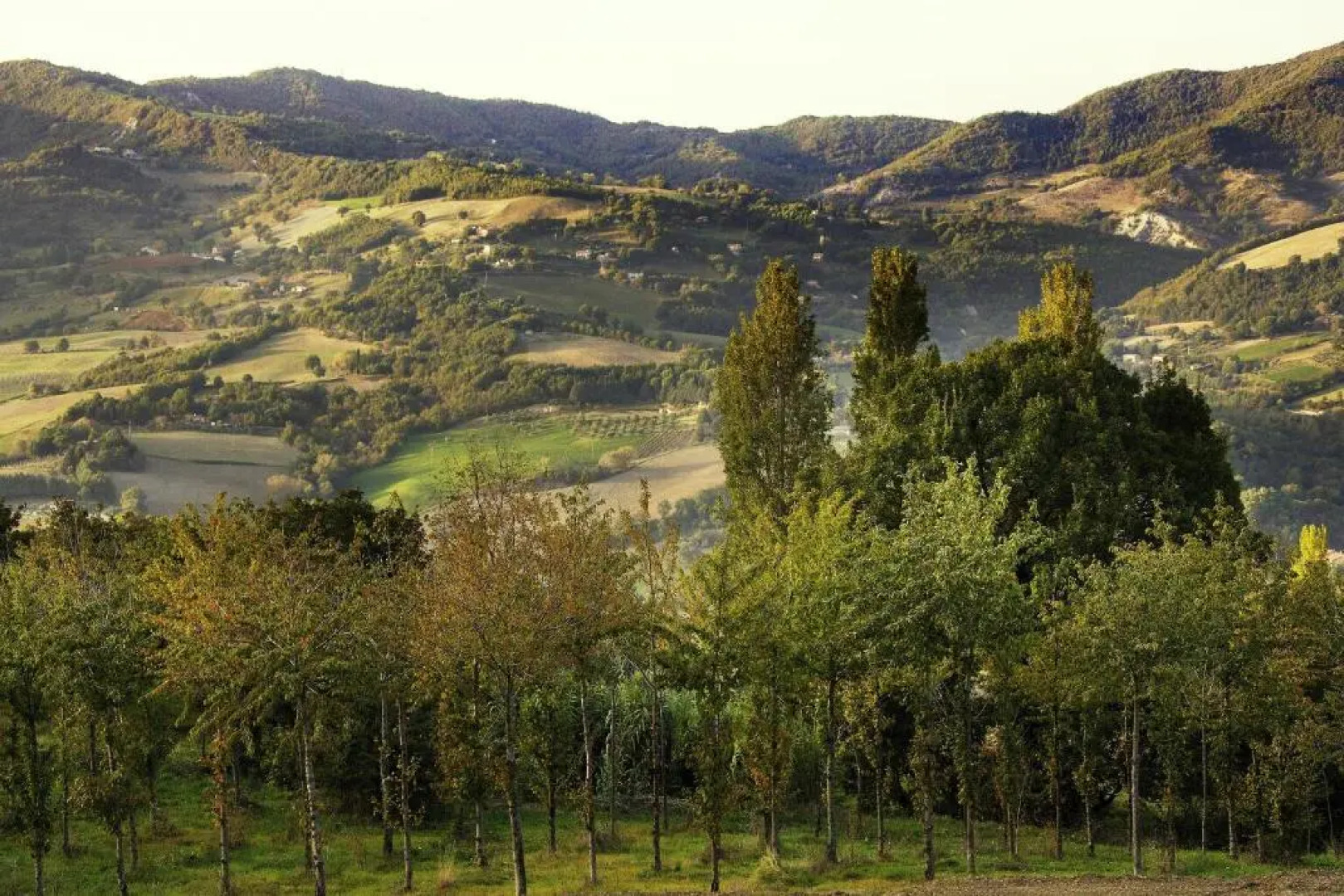 Agriturismo La Castellana