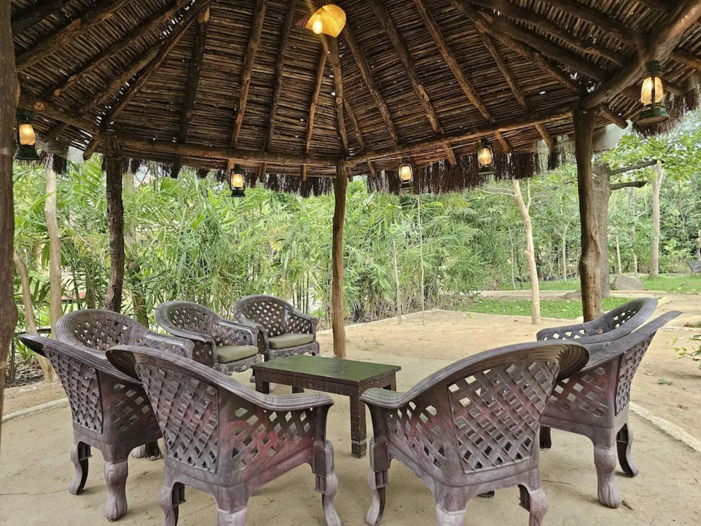 The Celebration Van Vilas