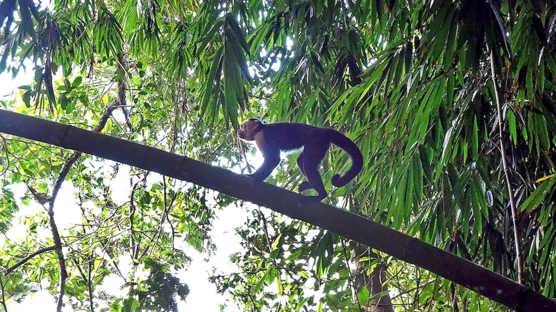 Hostel Cascada Verde