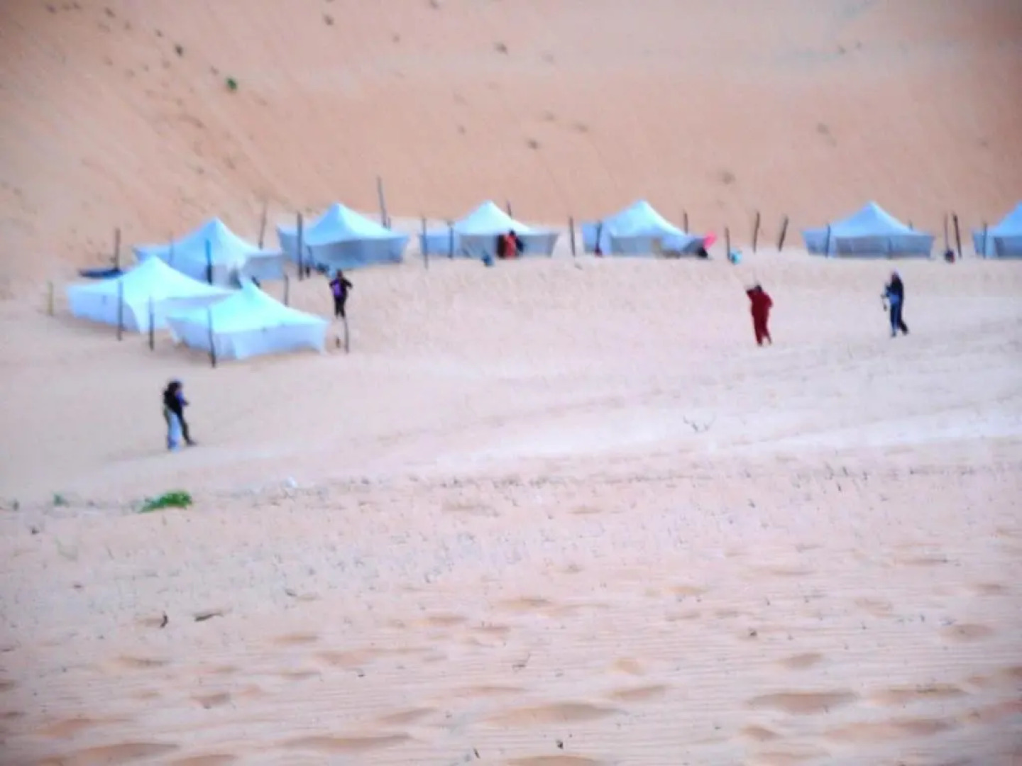 Safari Village - Case73