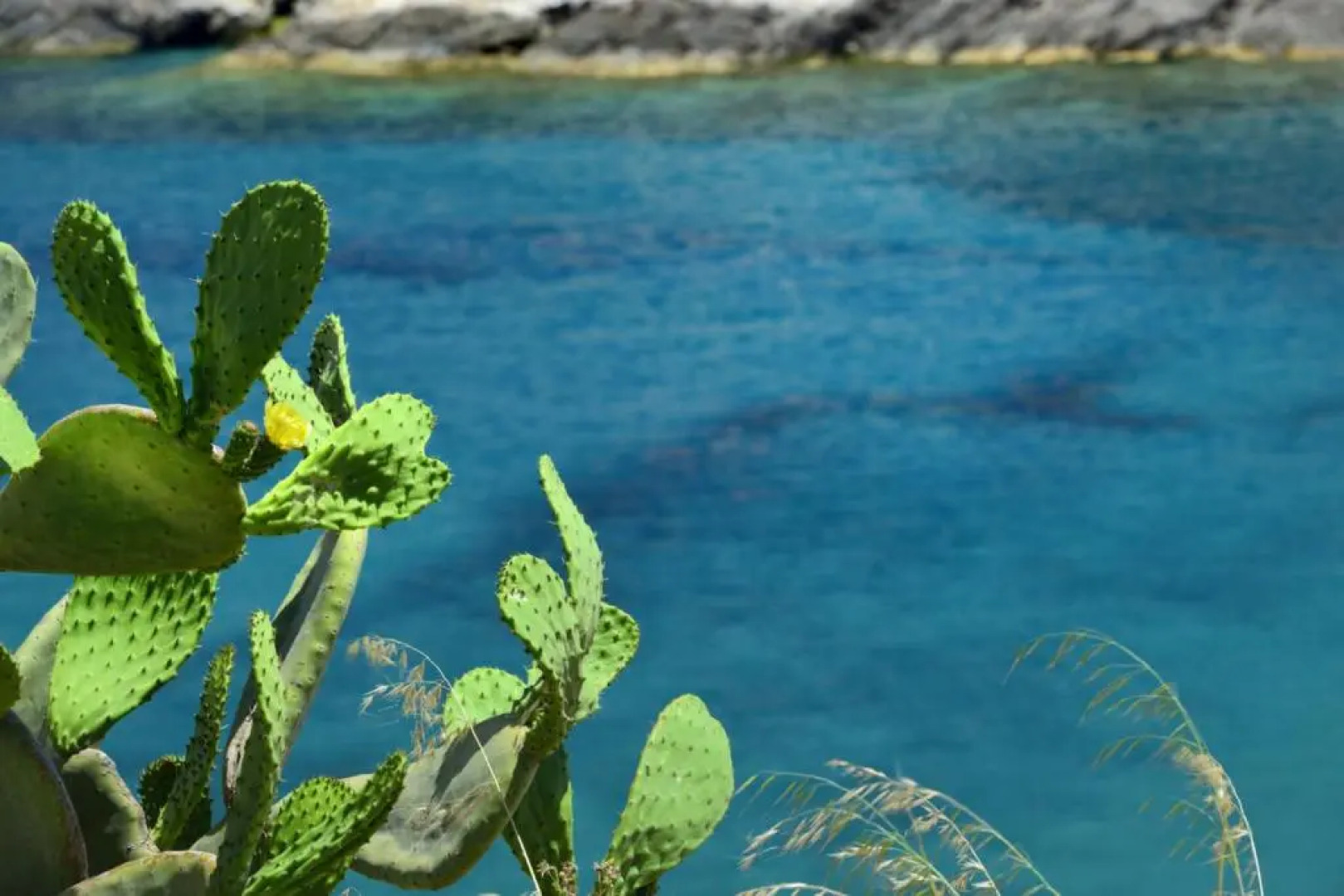Villa Elmina in Mykonos