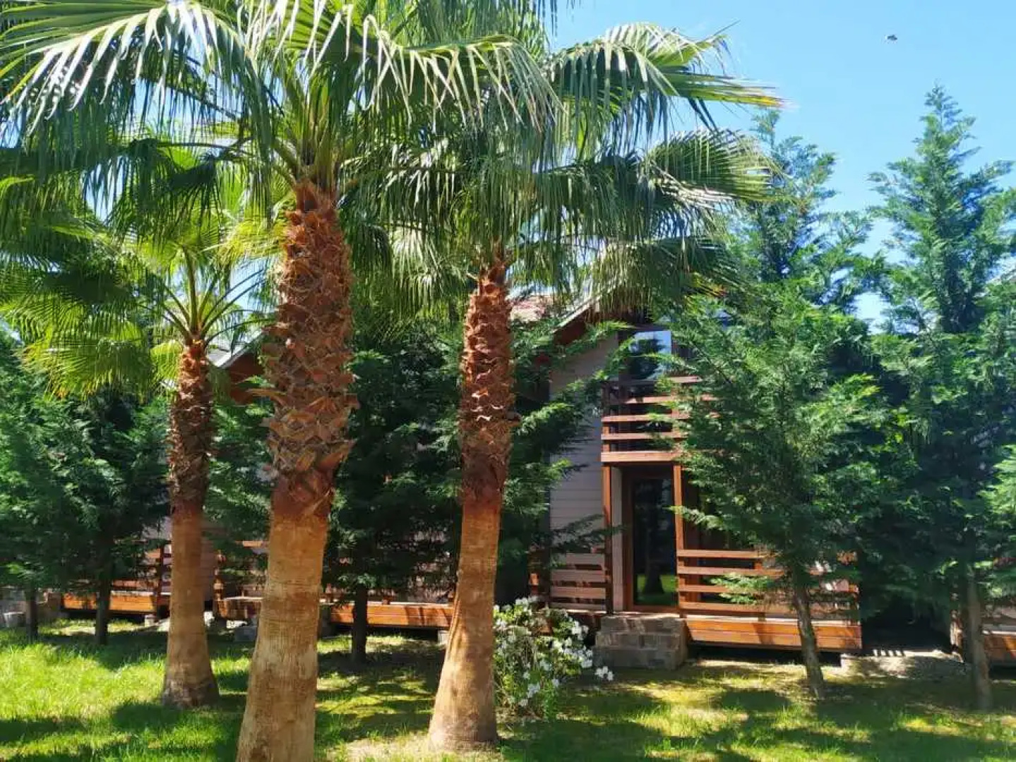 HAPPY LAND (Лдзаа)