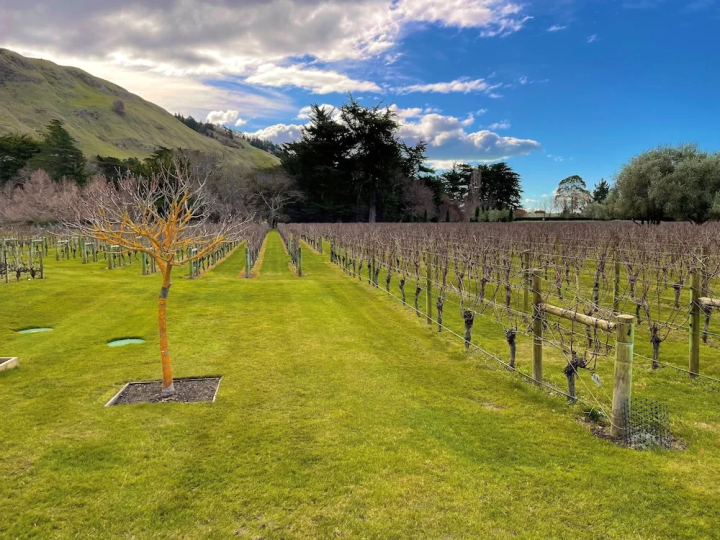 DoubleTree by Hilton Napier Hotel & Suites