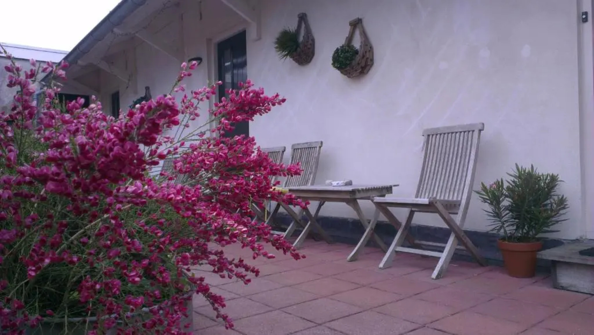 Logement De witte klok