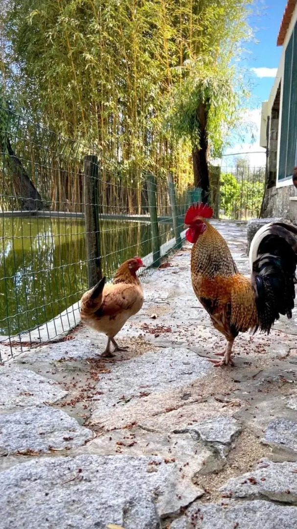 Private Douro- Quinta das Susandas