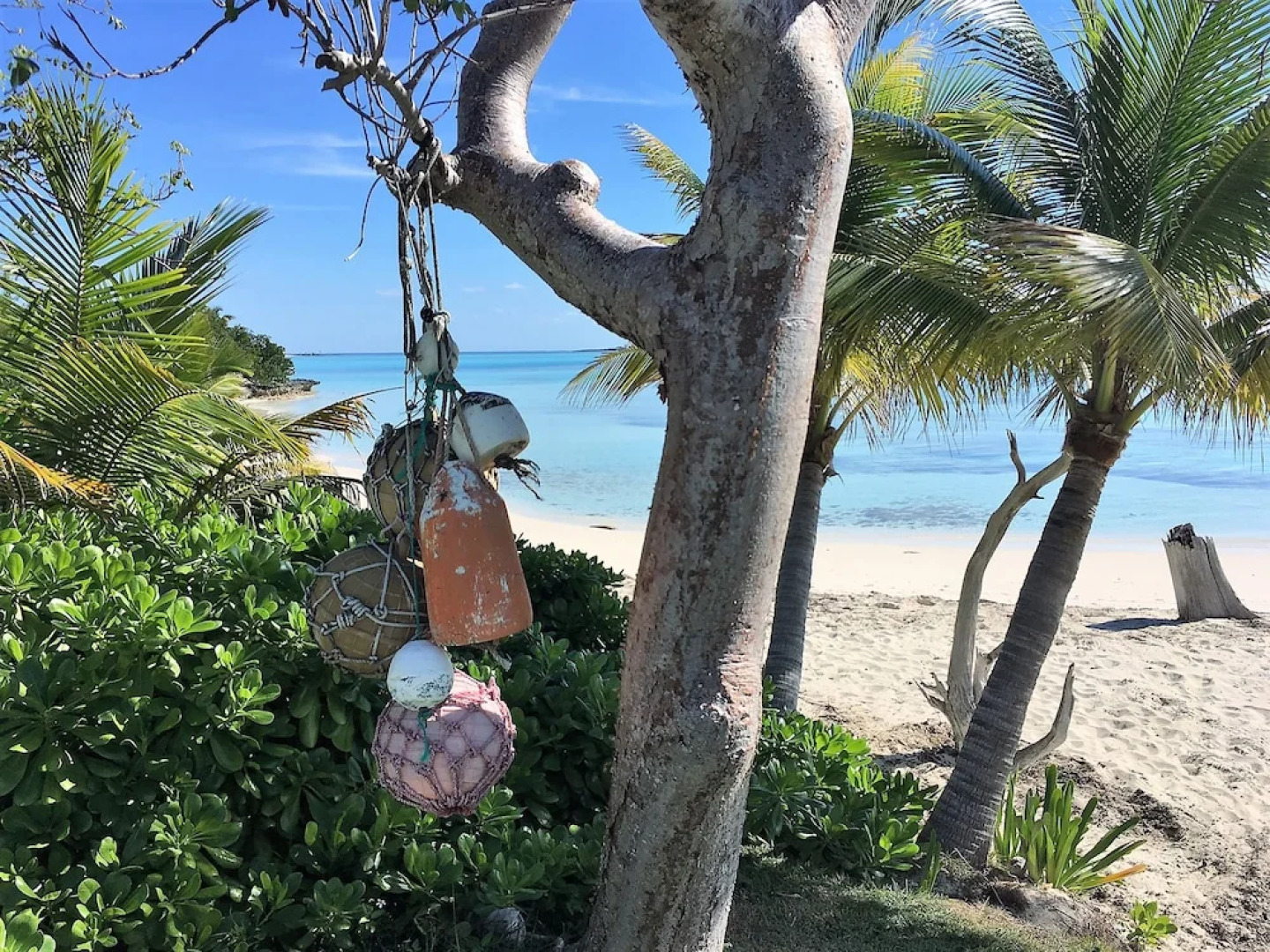Green Turtle Cay by TechTravel