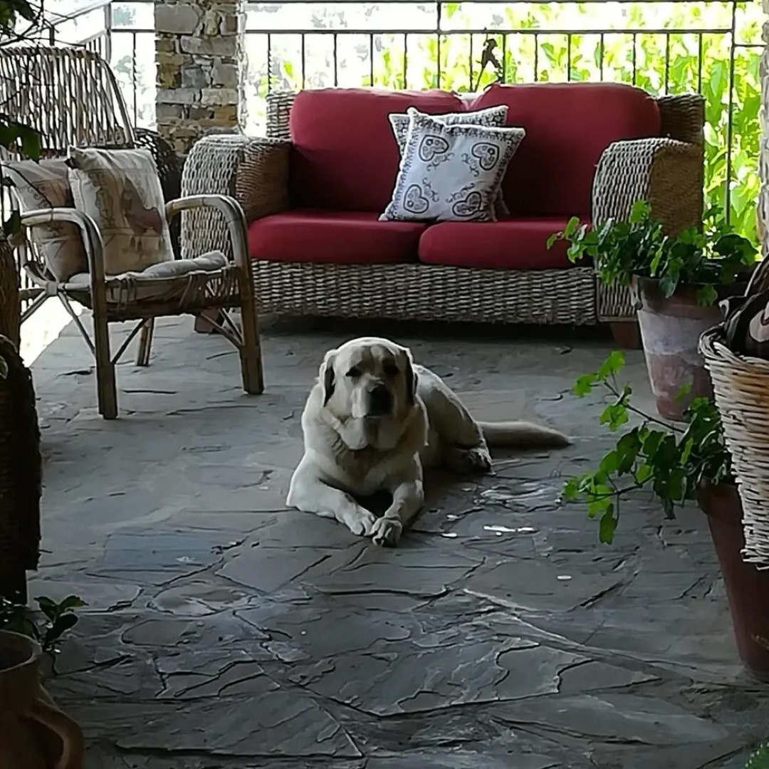 Studio in Ogliastro Cilento, With Wonderful sea View, Enclosed Garden and Wifi Near the Beach