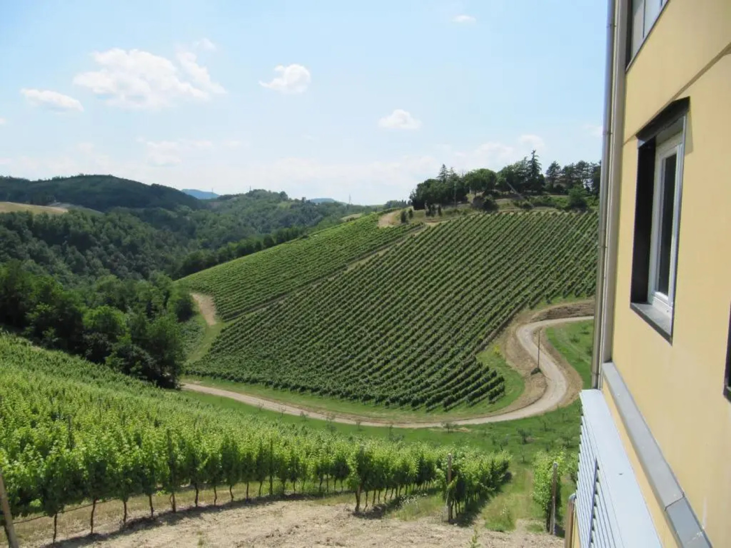 Podere Riosto Cantina&Agriturismo