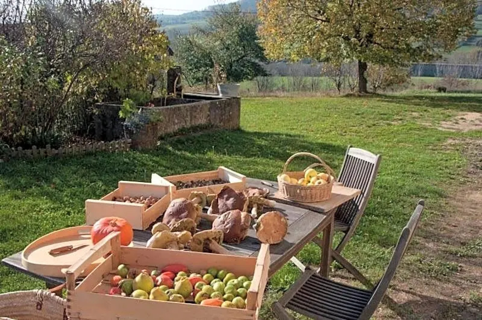 Gîte La Grange Du Haut