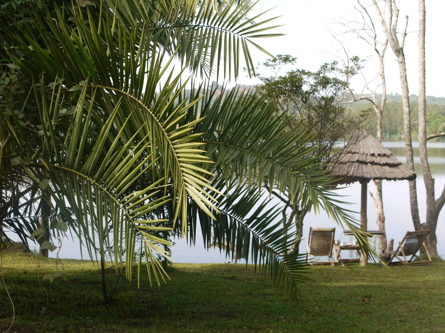 Rweteera Safari Park