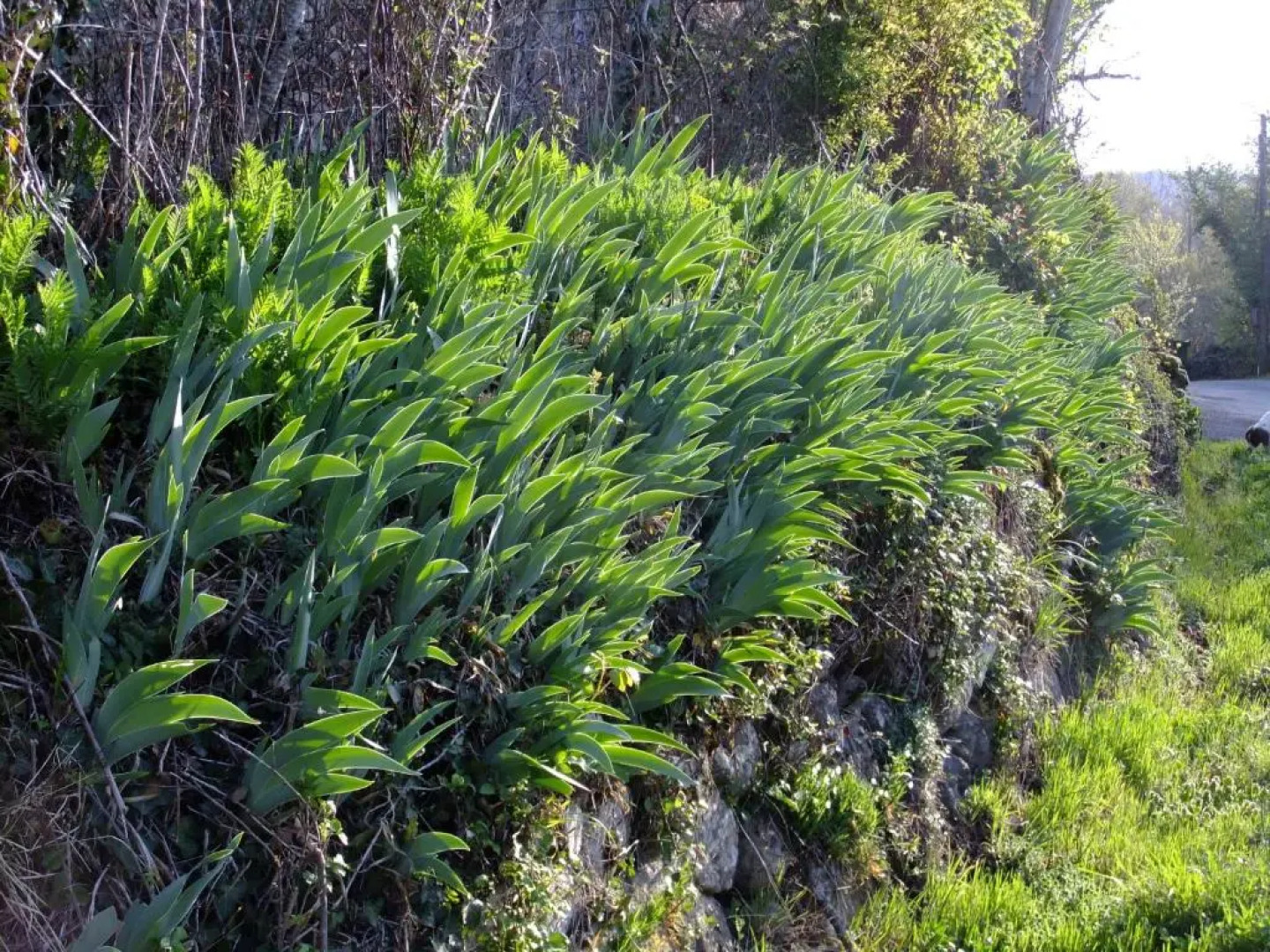 Chambres dHôtes Le Foursou