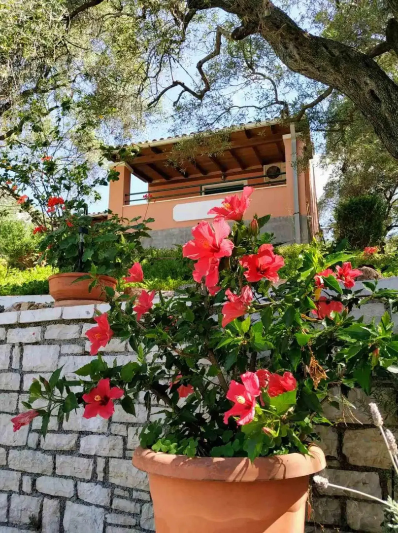 Villa Stefanos apartments