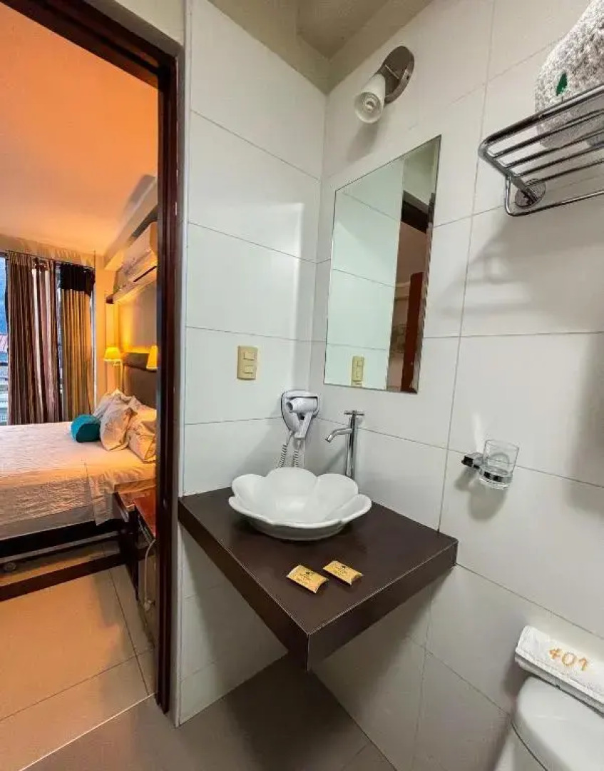 Hotel Plaza Del Bosque Inn