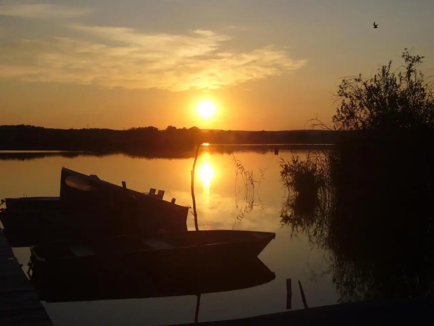 Prémium Vendégház