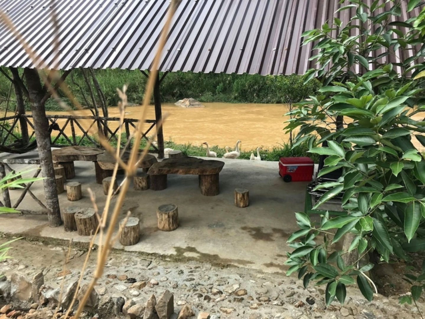 Hotel Schwangauer Hof