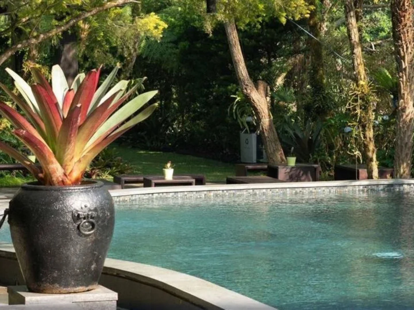 Amaryllis Boutique Resort