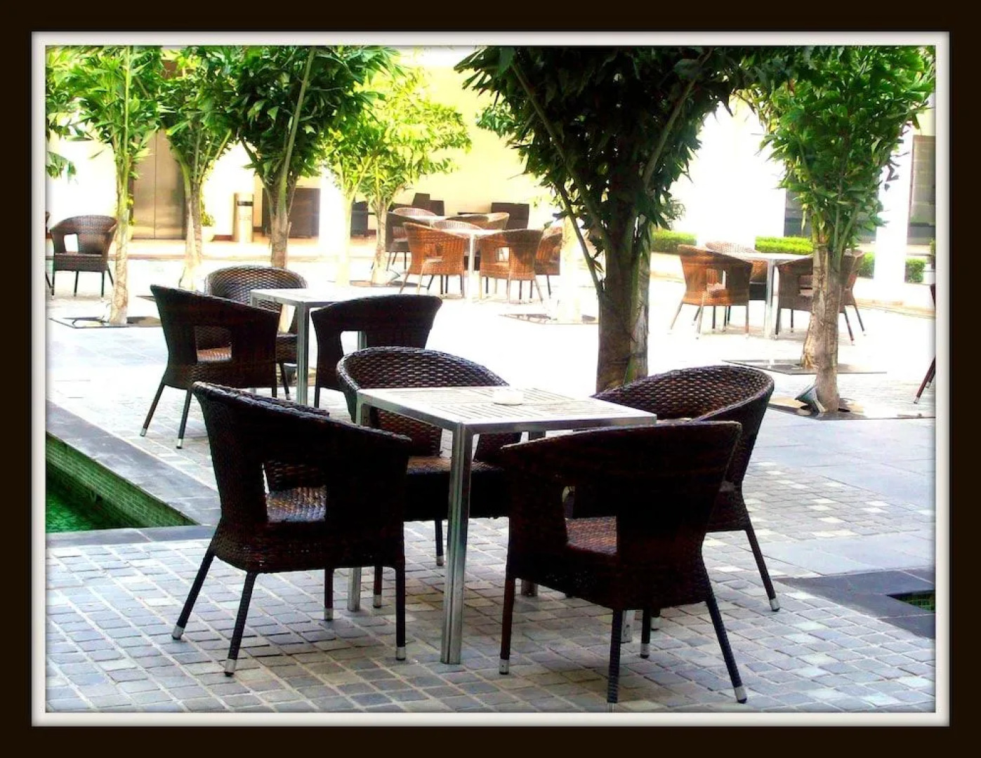 TreeHouse Hotel Club & Spa