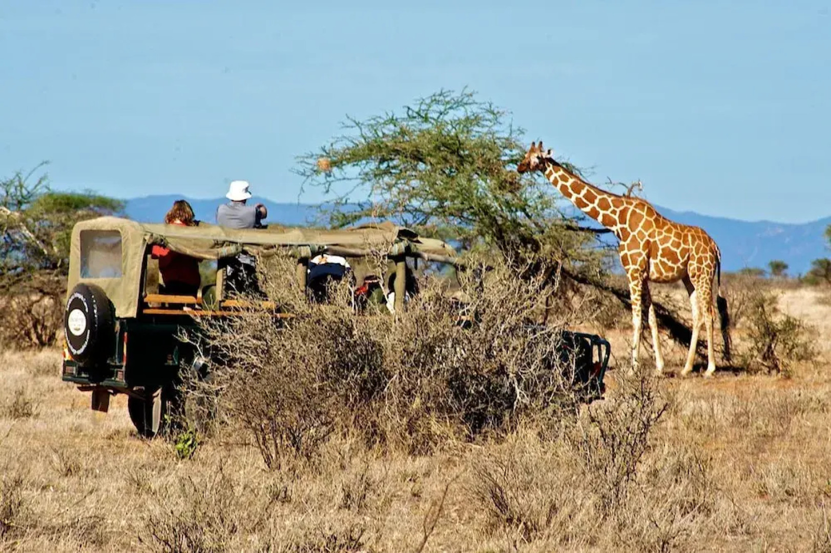 Samburu Intrepids Tented Camp