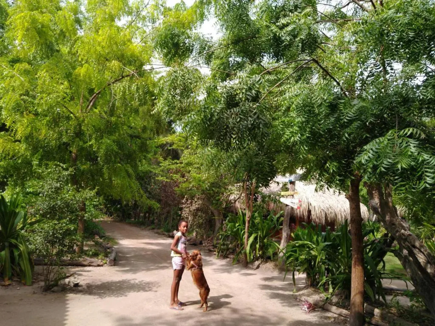 Eco Hotel Las Palmeras