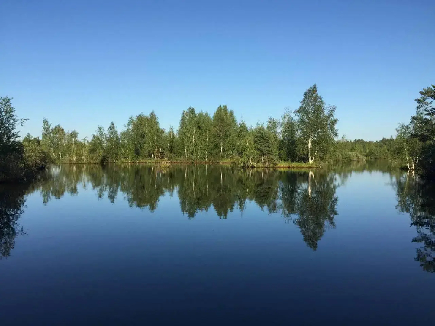 Relax Villas Villa (Релакс Виллы Вилла)