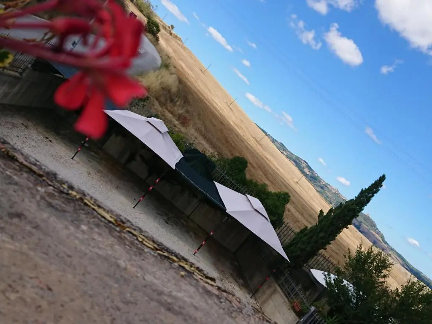 Affittacamere Albafiorita