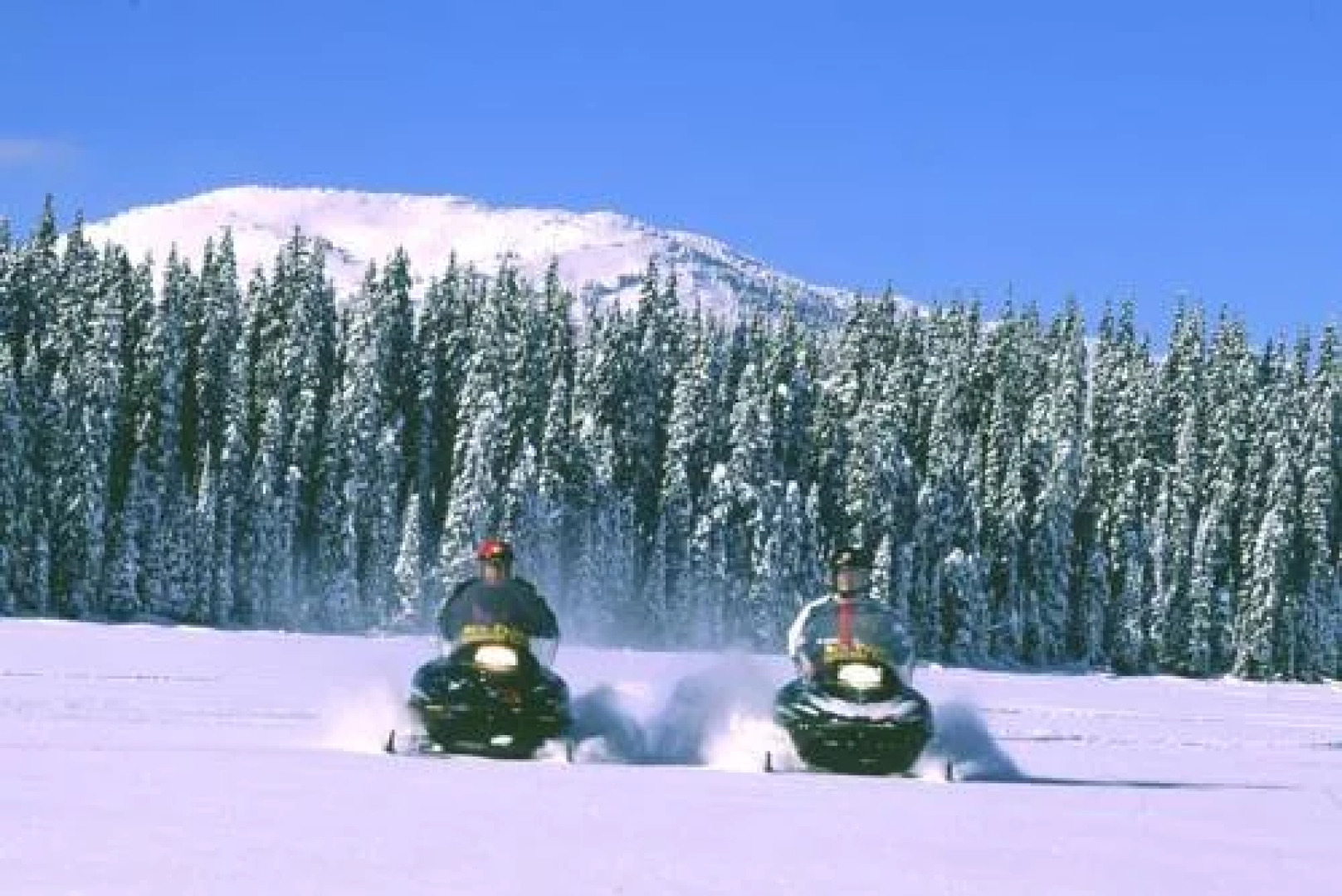 Trappers Landing #34 by Bear Country