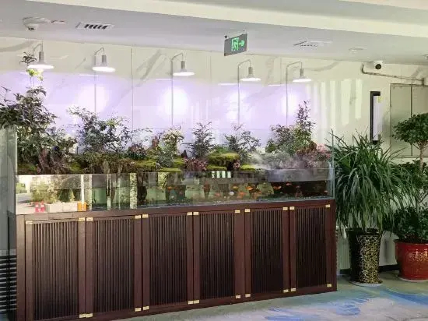 Puli 3200 Hotel