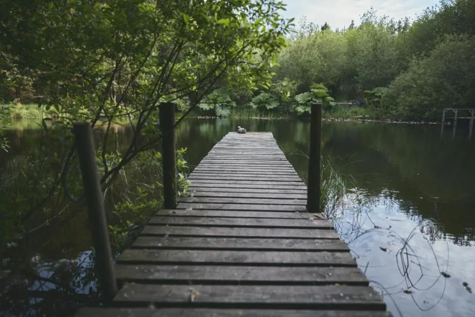 Raven Yurt - Yurtopia