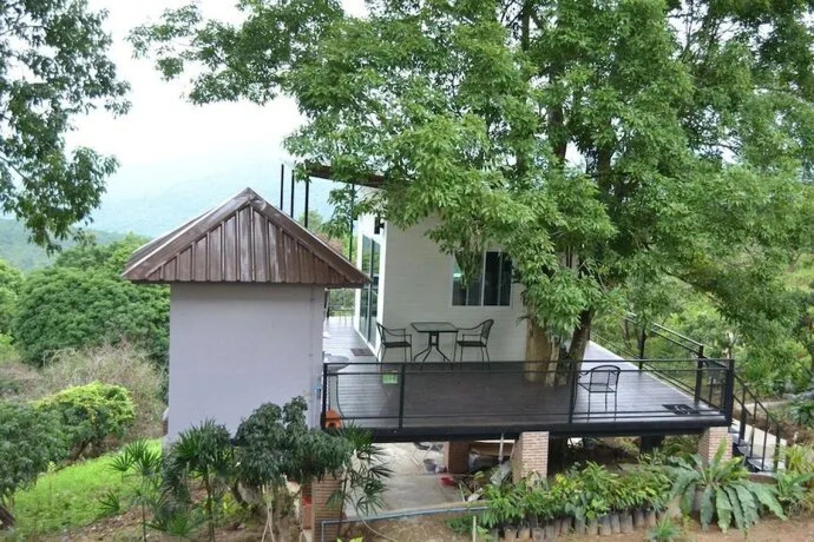 Phongtang garden Hill Homestay