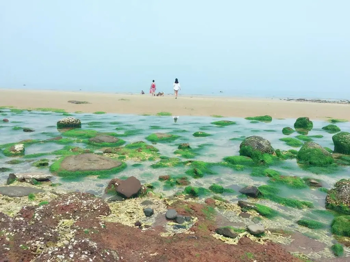 Beihai Weizhou Island Small Time Inn