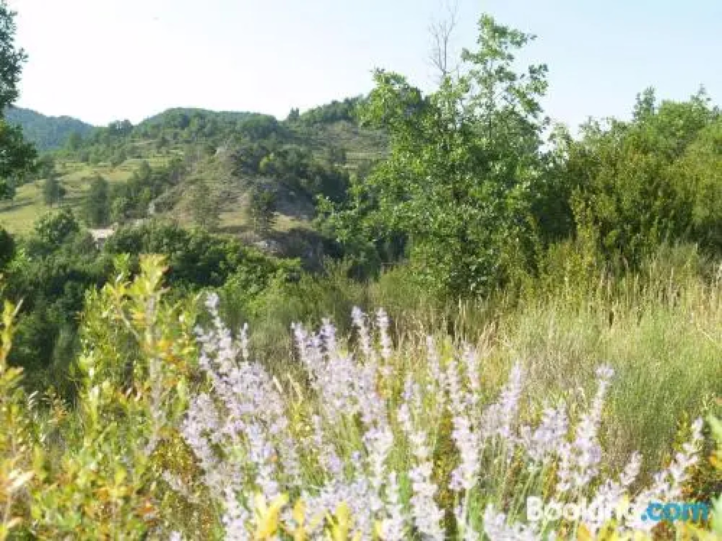 Camping Domaine du Verdon