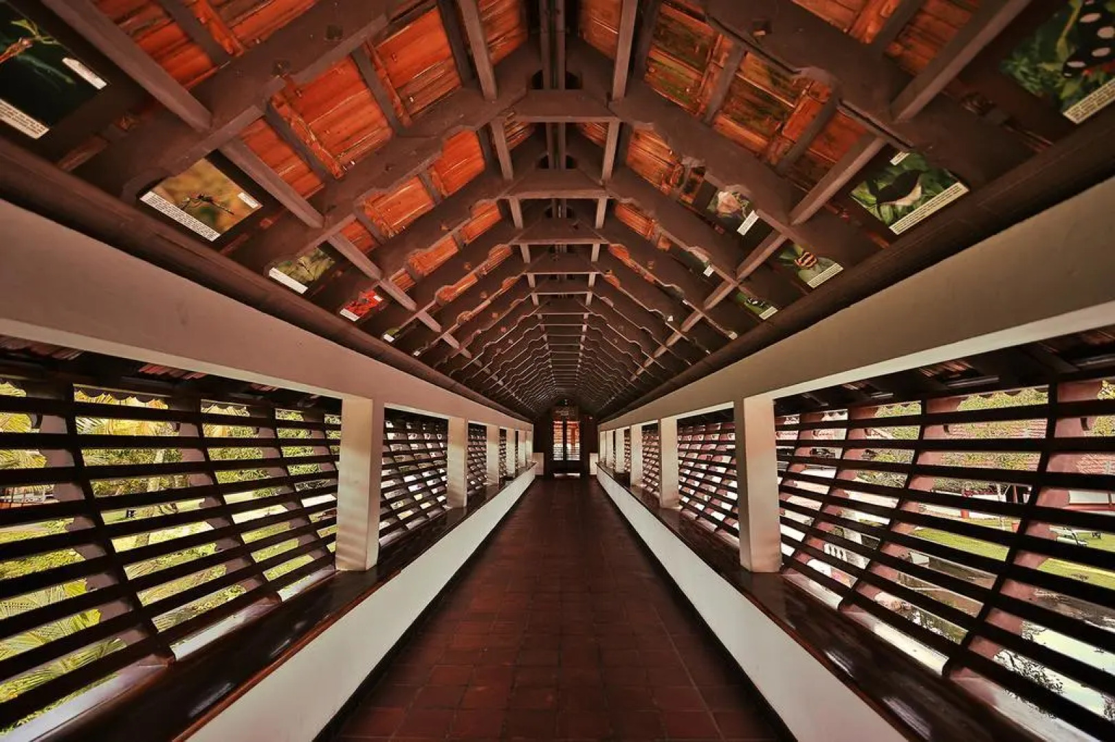 Coconut Lagoon - Cgh Earth