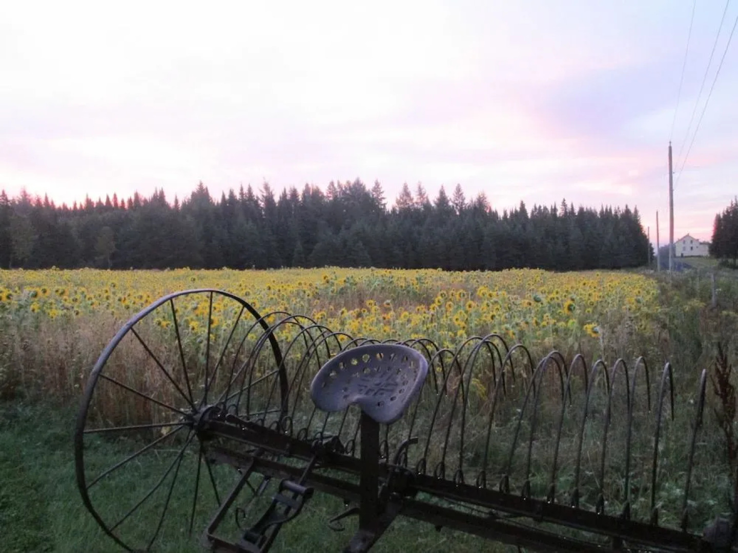 Le Jardin des Mésanges