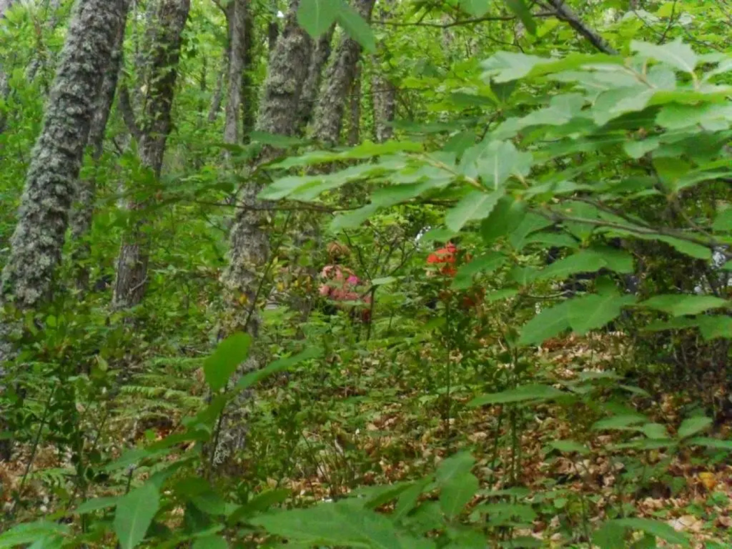 Casa Rural La Azotea
