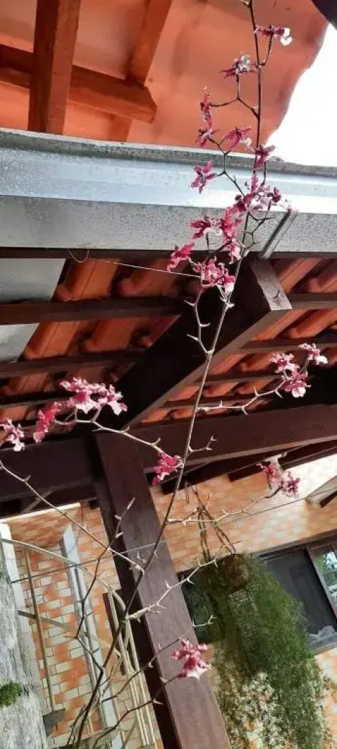 Quarto Suíte Itapoá - SC