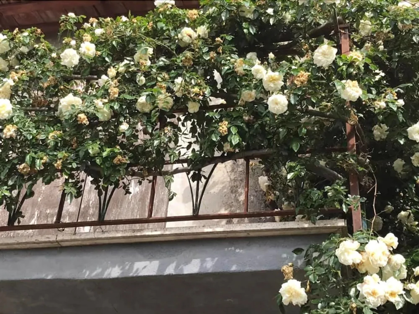 B&B Canneto