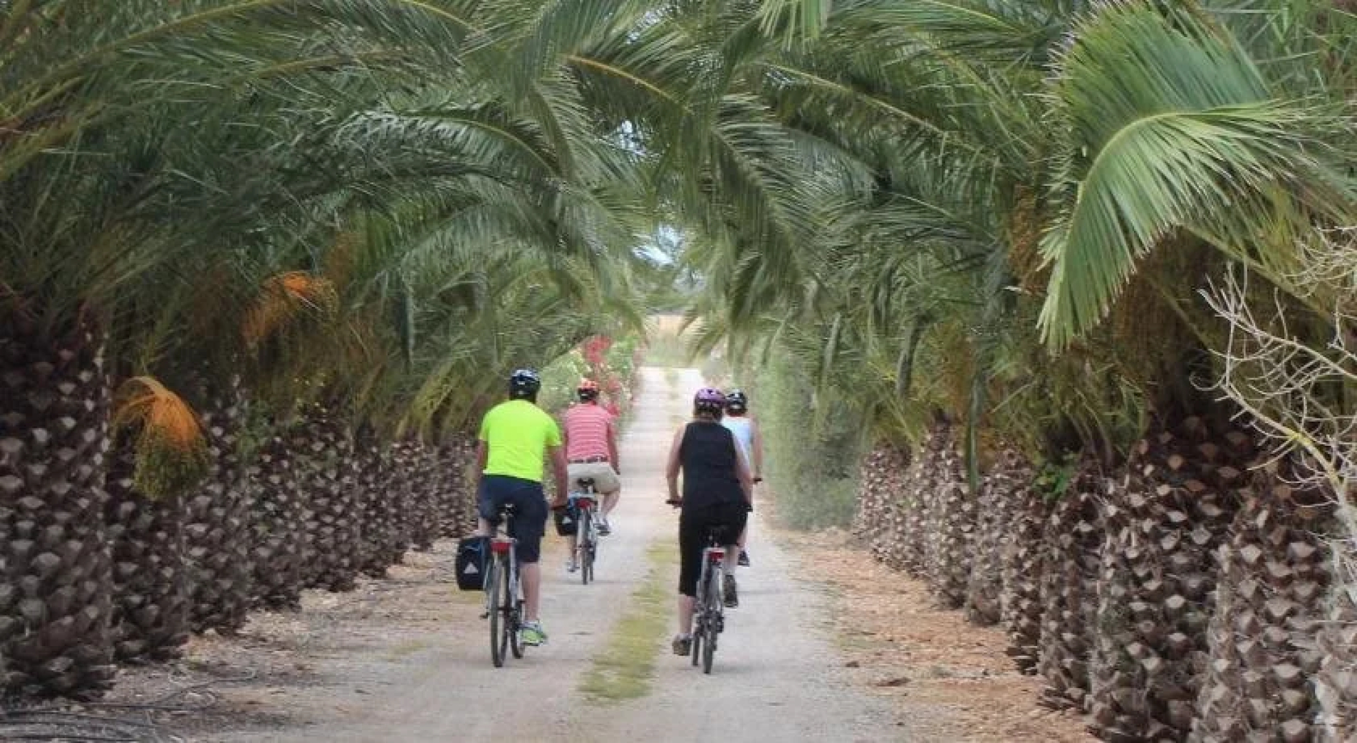 Finca Es Torrent
