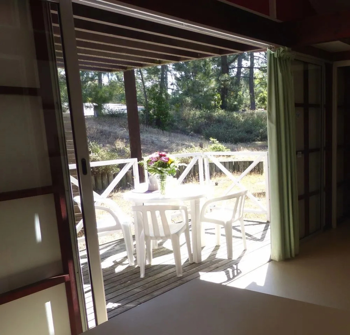 Les Oyats Sylvadoures