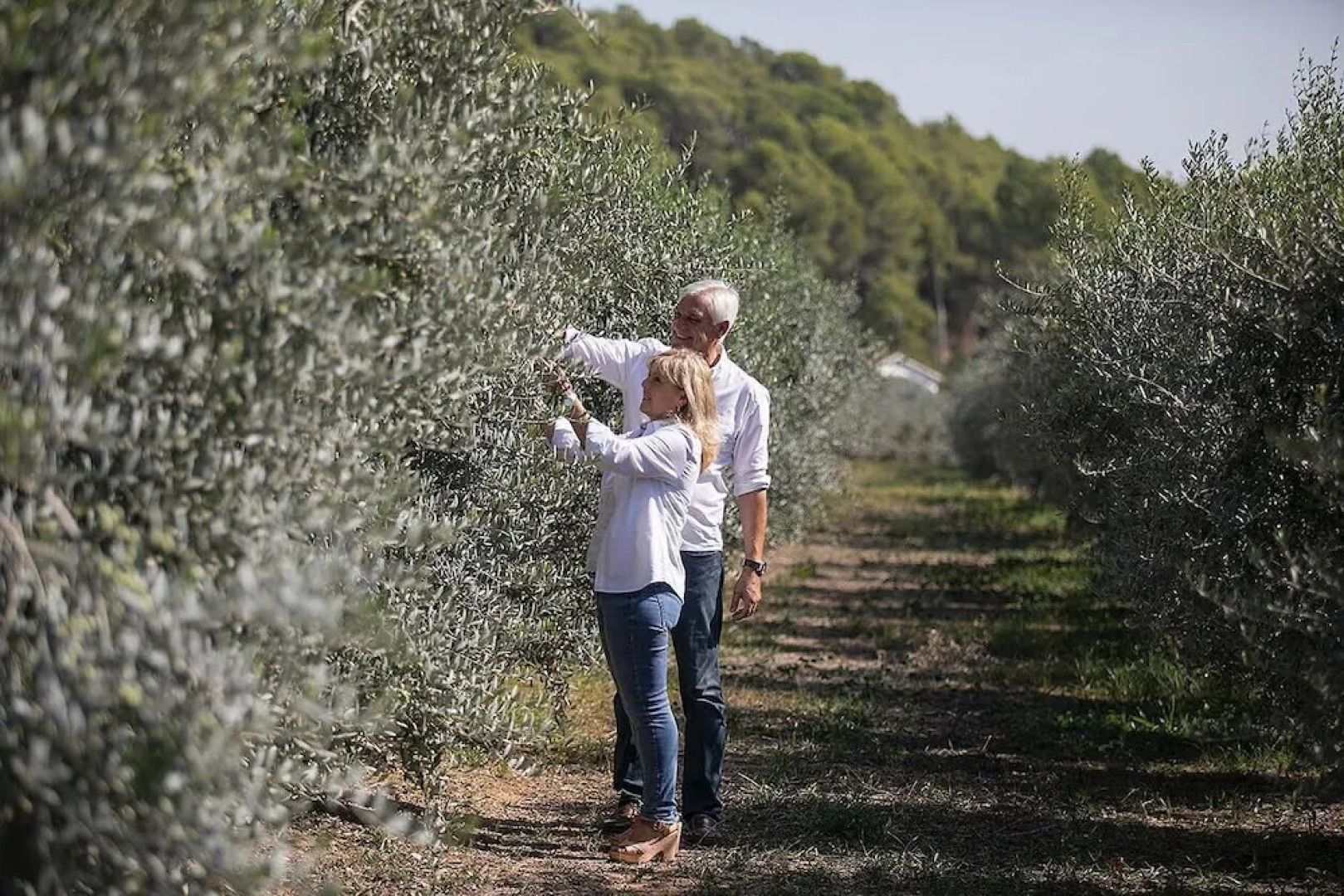 Masia Can Viver - Olive oil tourism B&B