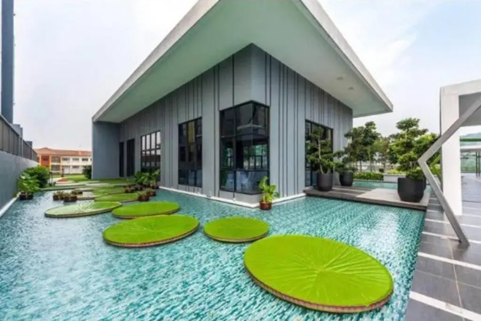 Cozy Mayfair Homestay