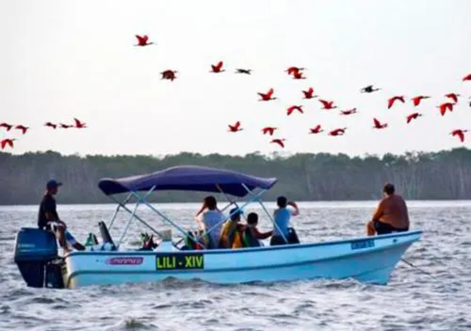 Casa do Sol Hostel - Adults Only